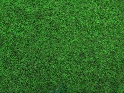 Kobercová tráva Green 20 s nopy
