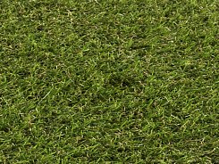 Kobercová tráva Soft Grass 766
